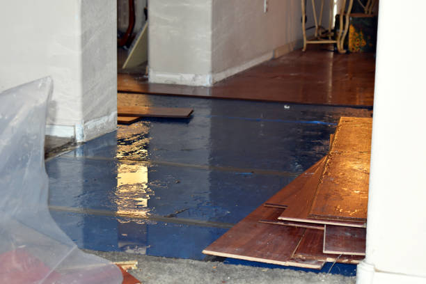 Professional Water Damage Restoration technician working in Inwood, FL